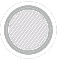 Flying Disc Photo Printing